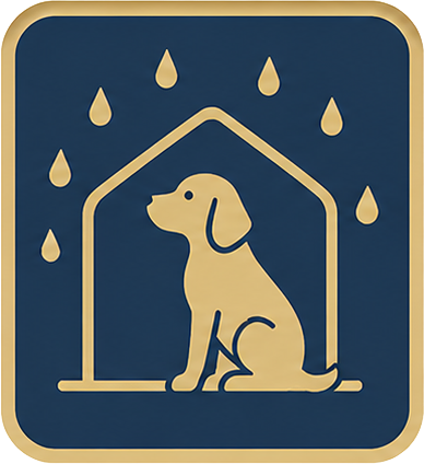 雨の日におすすめな施設