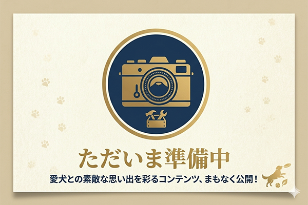 アトリエ伊豆プラス