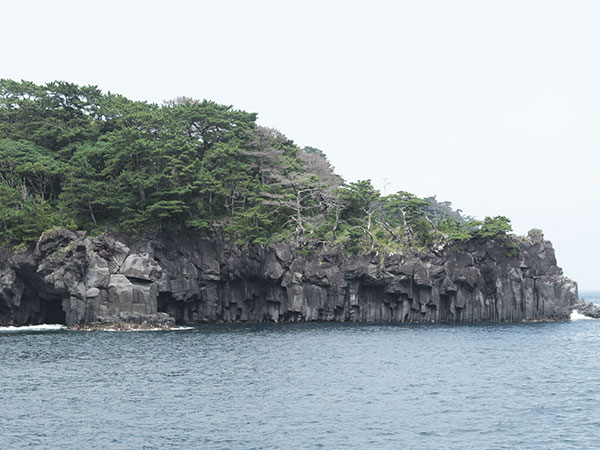 橋立吊橋 画像2