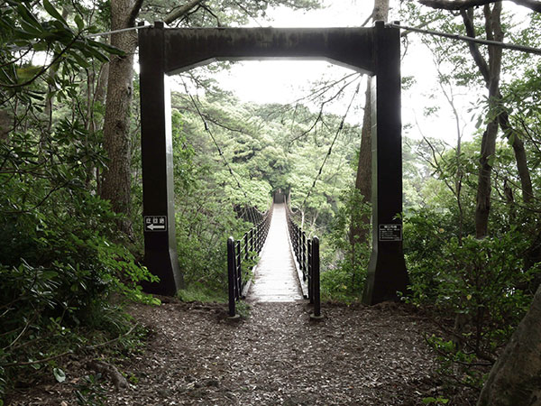 橋立吊橋 画像3