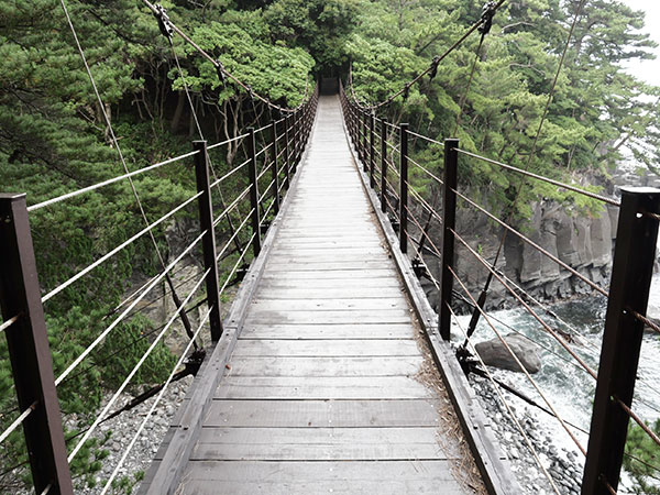 橋立吊橋 画像4