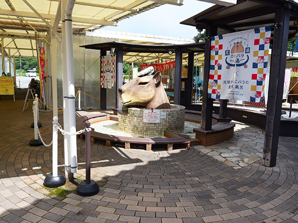 伊豆高原 旅の駅 ぐらんぱるぽーと 画像5